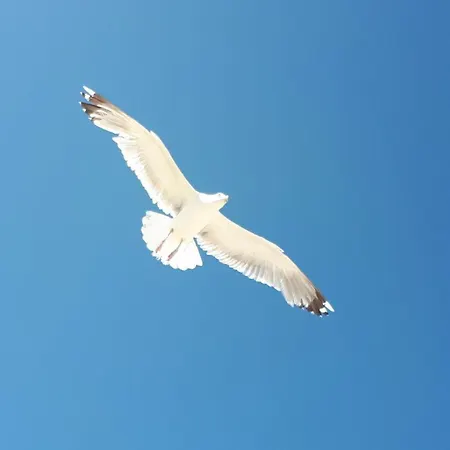 Terrassen-fewo-heimathaven-direkt-am-ostseestrand Lägenhet